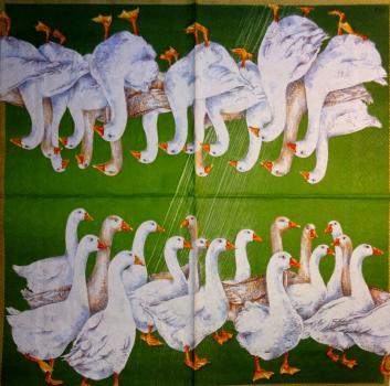013 Ducks - 3-ply (grün) - Ihr